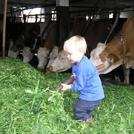 Farm stay Bauernhof Berndlhof *