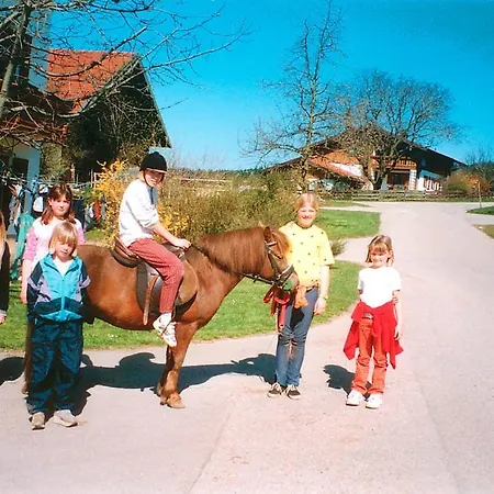 Farm stay Bauernhof Berndlhof *